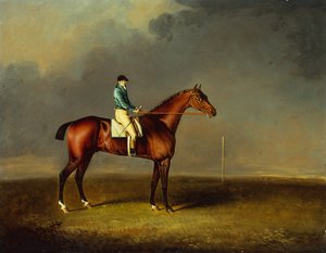 Ő Királyi Fensége, a walesi herceg, Sir David, Trumpator versenyló, Chifney-vel a Newmarket Heath-en. alkotó: Henry Bernard Chalon