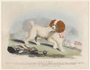 ?Sancho?, Salamancai csata, 1812