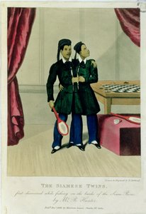 A sziámi ikrek, amelyeket először horgászat közben fedezett fel a Sziám folyó partján R. Hunter, 1829 alkotó: Henry Berthoud