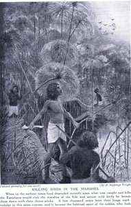 Madarak irtása a mocsárban, 1920 körül alkotó: Henry Charles Seppings Wright