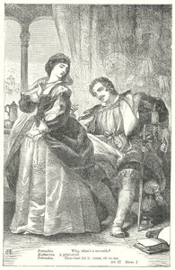 A cickány megzabolázása (metszet) alkotó: Henry Courtney (after) Selous