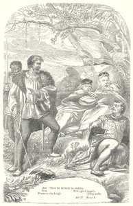 A vihar (metszet) alkotó: Henry Courtney (after) Selous