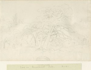 Beaudesert Park: ceruzarajz, nd [1788-1855]