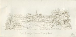 Lichfield - North View (távoli): tollrajz, nd [1788-1855] (rajz) alkotó: Henry Curzon Allport