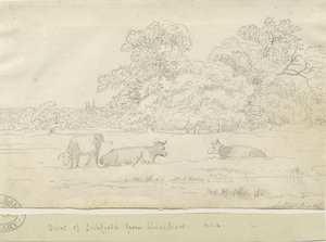 Lichfield – Kilátás Aldershaw felől alkotó: Henry Curzon Allport