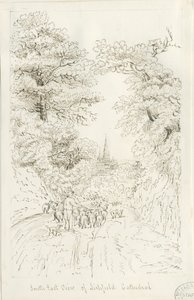 Lichfield katedrális – Délkeleti nézet (távoli): tollrajz, nd [19. század] (rajz)