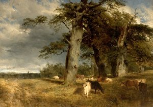 Táj a Dukeriesben, Nottinghamshire, 1850