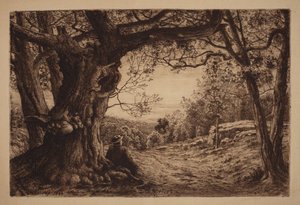 A hegyoldalon alkotó: Henry Farrer
