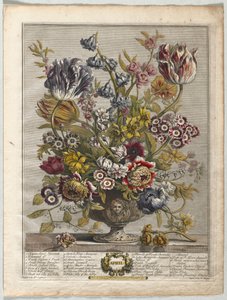 A virágzás tizenkét hónapja: 1730. április.