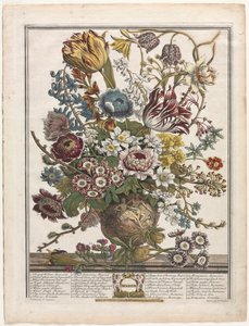 A virágzás tizenkét hónapja: 1730. március.