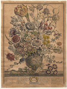 A virágzás tizenkét hónapja: 1730. március.