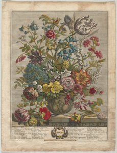 A virágzás tizenkét hónapja: 1730. május.