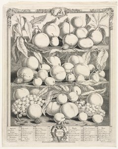 Tizenkét hónapos gyümölcs: 1732. augusztus.