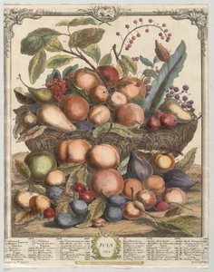 Tizenkét hónapos gyümölcs: 1732. július.