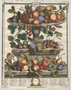 Tizenkét hónapos gyümölcs: 1732. június.