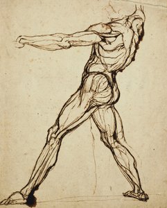Meztelen dobás, alkotó: Johann Heinrich Füssli