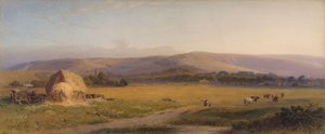 South Downs legelők, 1867