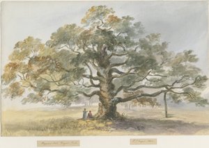 Blithfield – Koldustölgy: vízfestmény, 1844