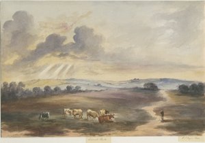 Cannock Chase - "Heath": vízfestmény, 1844