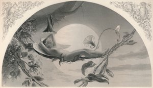 Ariel, a vihar, 1870