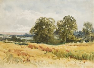 Szüreti mező, 1910 körül (akvarell, papír)