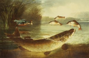 Egy jégmadár és egy csuka sügért fogott alkotó: Henry Leonidas Rolfe