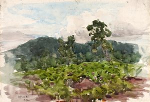 Highlands, N.C., 1889. alkotó: Henry Ossawa Tanner