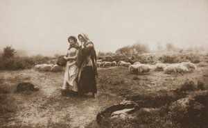 Kódolat