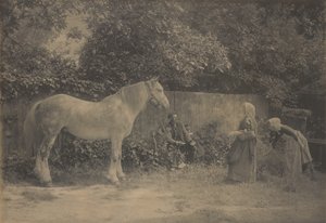[Old Dapple] alkotó: Henry Peach Robinson