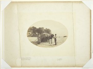 Cader-Idris lejtőin, Az utolsó szénaterhelés alkotó: Henry Peach Robinson