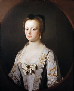 Roosilia Drake (olaj, vászon) alkotó: Henry Pickering
