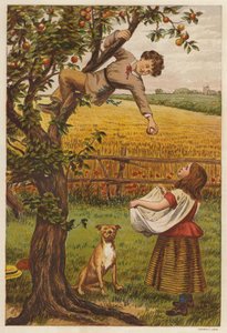 Alma szedése (színes litho)