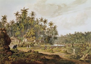Kilátás a Point du Galle közelében, Ceylonban, vésette Daniel Havell (1785-1826), megjelent 1809-ben alkotó: Henry Salt