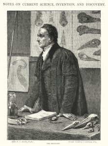 A professzor (metszet)
