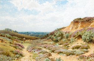 Heather on a Surrey Heath (wc, papír)