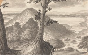 Vico-tó