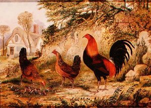 Kakas, tyúkok és csibék alkotó: Henry Thomas Alken