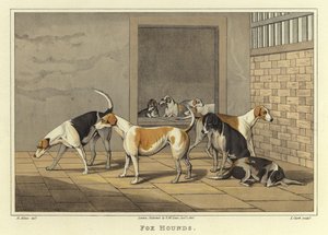 Rókakutyák (chromolitho) alkotó: Henry Thomas Alken