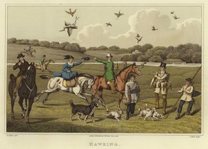 Hawking (chromolitho) alkotó: Henry Thomas Alken