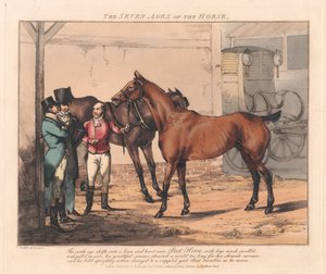 Hét darabból álló sorozat: A ló hét életkora alkotó: Henry Thomas Alken