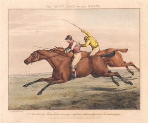Hét darabból álló sorozat: A ló hét életkora alkotó: Henry Thomas Alken