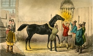 A báró villák a Wet-jét, 1838 alkotó: Henry Thomas Alken