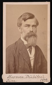 Herman Henry Diebitsch portréja 1818-1883, 1871.