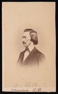 Theodore Nicholas Gill portréja 1837-1914, 1865 és 1870 között. alkotó: Henry Ulke