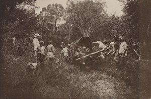 Ceylon romvárosai: Útban Polonnaruwa felé (f/w fotó)