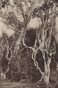 Ceylon romvárosai: Kotuwa (f/w fotó)
