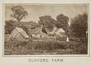 Duxford Farm