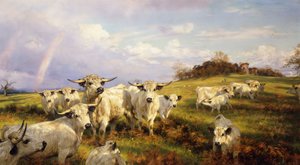 Chartley vadon élő szarvasmarha, Chartley kastélyon túl, 1902