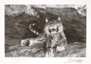 Tigris alkotó: Henry Wolf