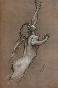 Repülőhal-tanulmány, c1910